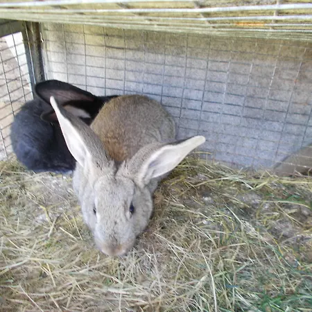 Snow Village 3* Roccaraso