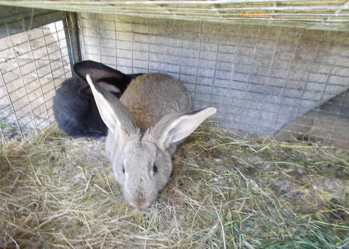 Snow Village 3* Roccaraso